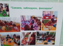 img (9)